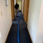 Carpeting cleaning North Huntingdon, PA