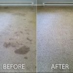 Before and after carpet cleaning in North Huntingdon, PA